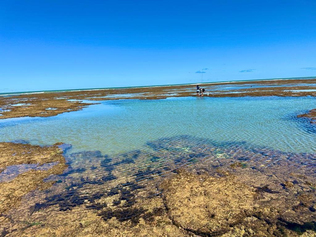 Pousada Ilha De Itacimirim Exteriör bild